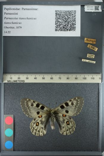 Media type: image;   Entomology 174830